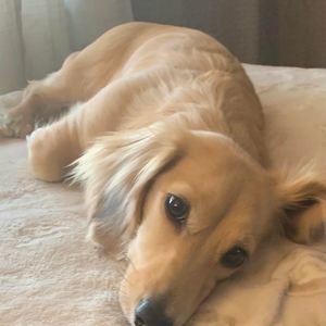 Meet your Posher, Sheri